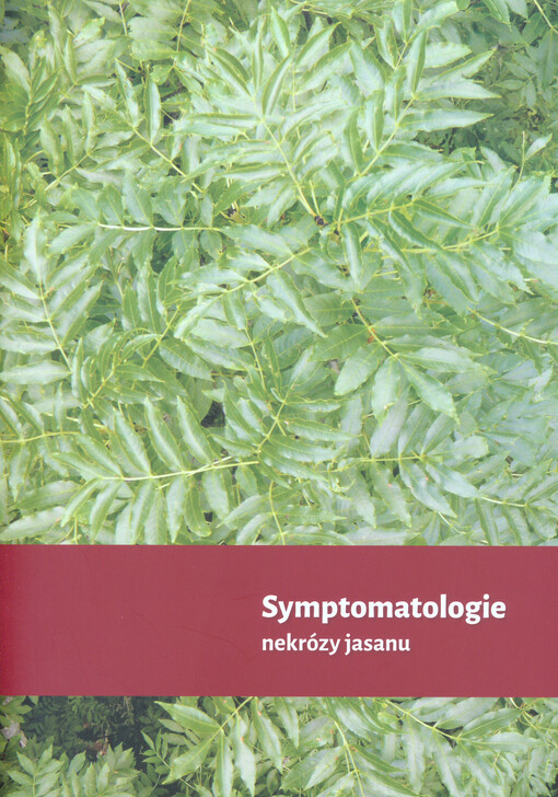 Symptomatologie nekrózy jasanu