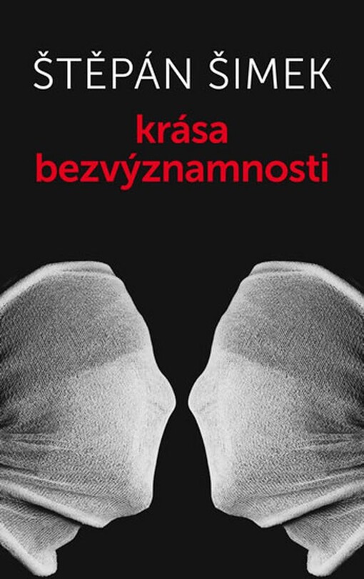 Krása bezvýznamnosti