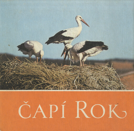 Čapí rok : čáp bílý, jak byl u nás pozorován a fotografován