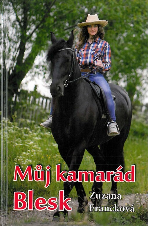 Můj kamarád Blesk