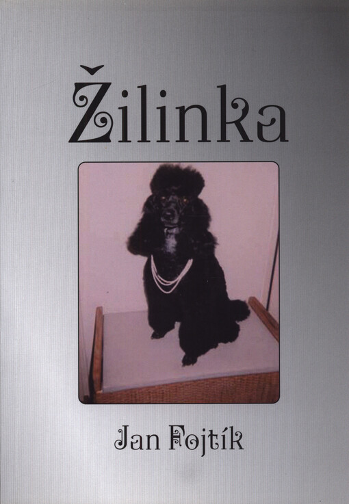 Žilinka