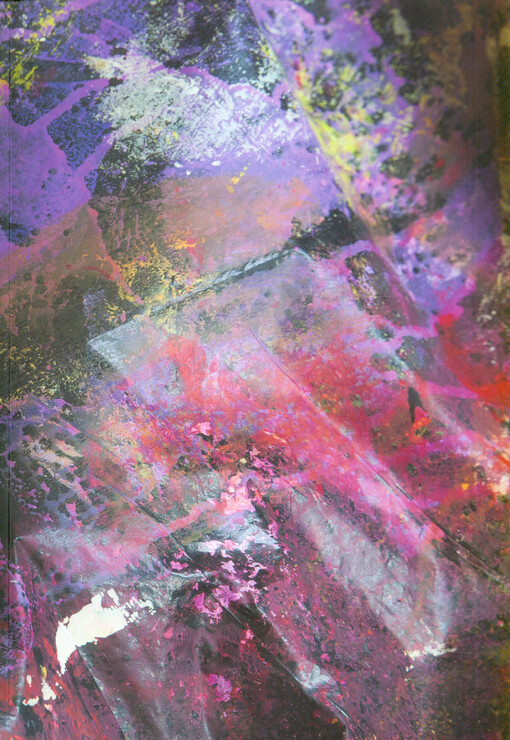 Kateřina Štenclová: světlo barvy II : Galerie moderního umění v Roudnici nad Labem, 27/4/2017-18/6/2017