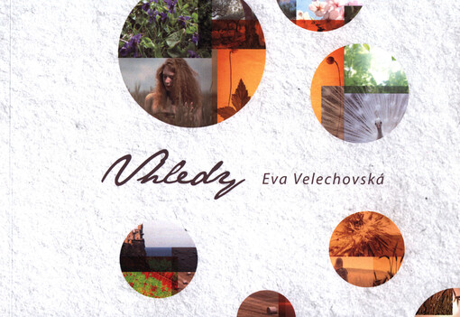 Vhledy