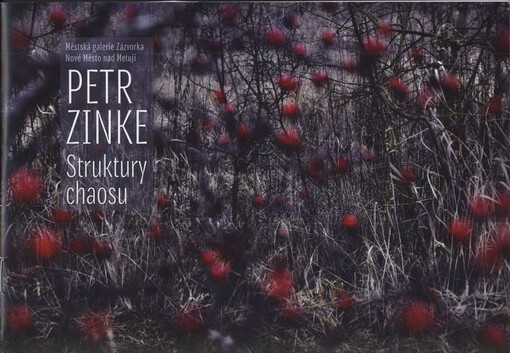Petr Zinke : struktury chaosu : Městská galerie Zázvorka, Nové Město nad Metují