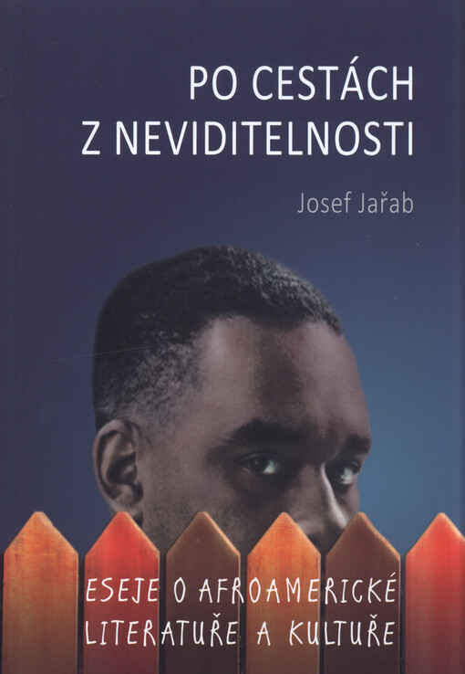 Po cestách z neviditelnosti : eseje o afroamerické literatuře a kultuře