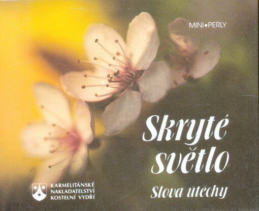 Skryté světlo :slova útěchy