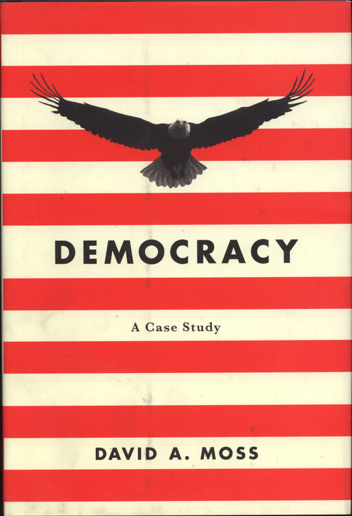 Democracy : a case study
