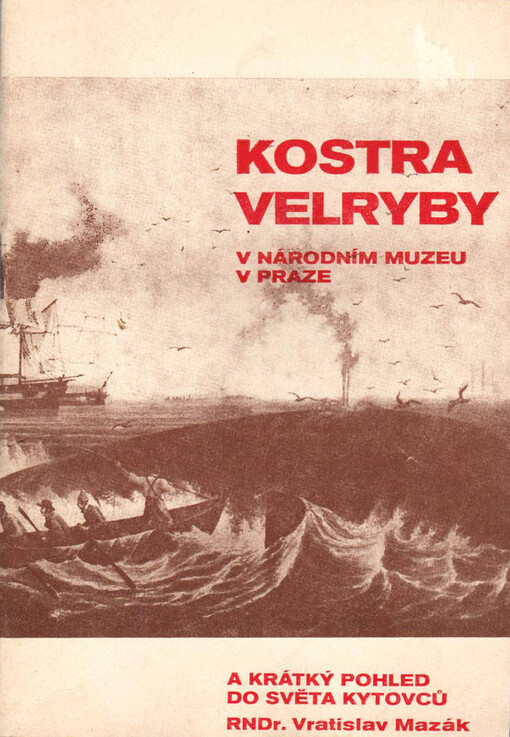 Kostra velryby v Národním muzeu v Praze a krátký pohled do světa kytovců /