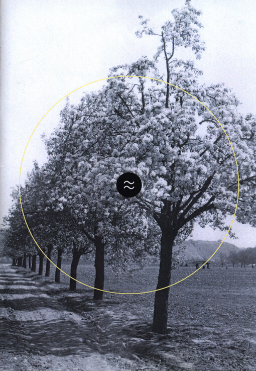 With the river together : the past, present and future of the Troja basin