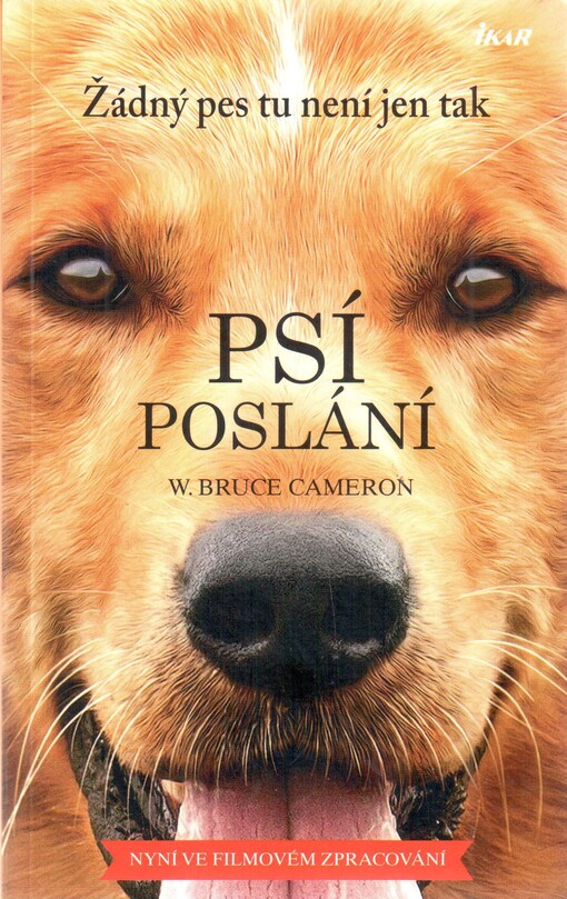Psí poslání