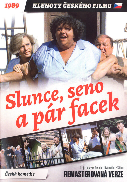 Slunce, seno a pár facek