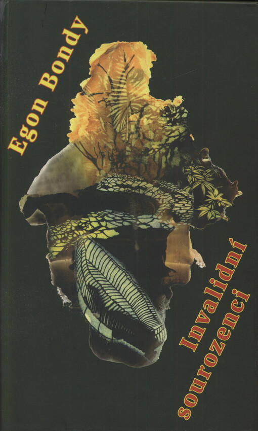 Invalidní sourozenci