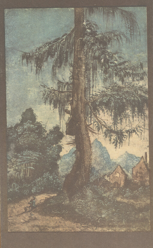 Der Meister von Regensburg : ein Albrecht-Altdorfer-Roman