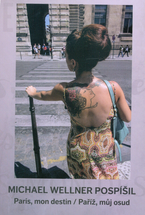 Michael Wellner Pospíšil : Paris, mon destin = Paříž, můj osud