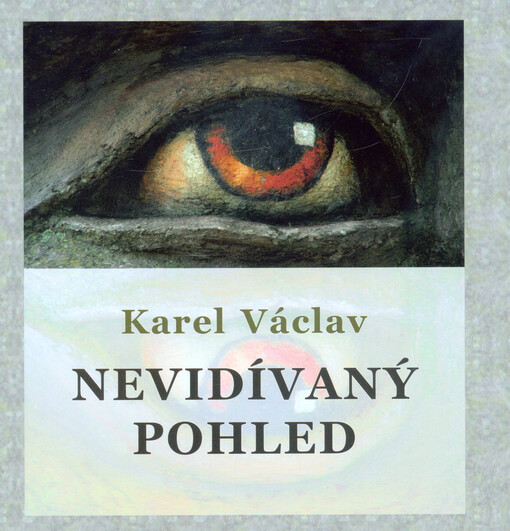 Nevidívaný pohled