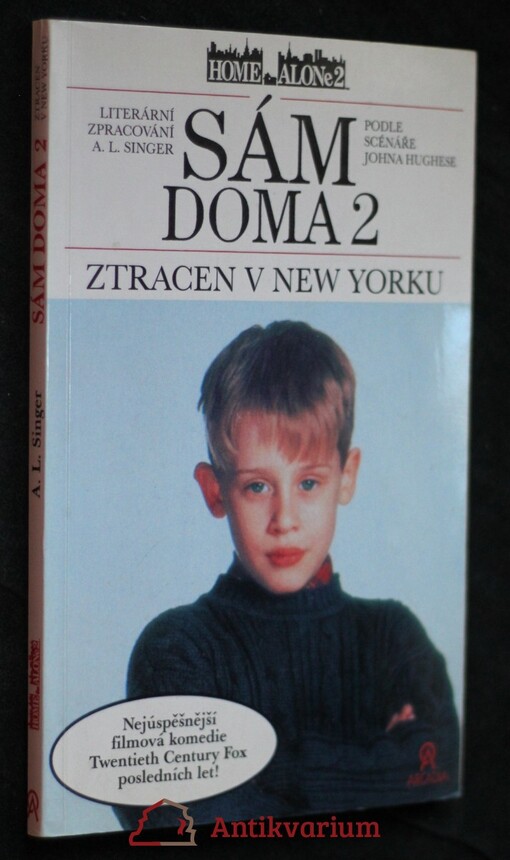 Sám doma 2: Ztracen v New Yorku