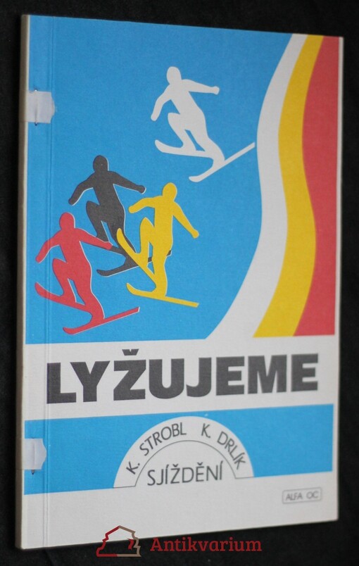 Lyžujeme : struktura výuky sjíždění