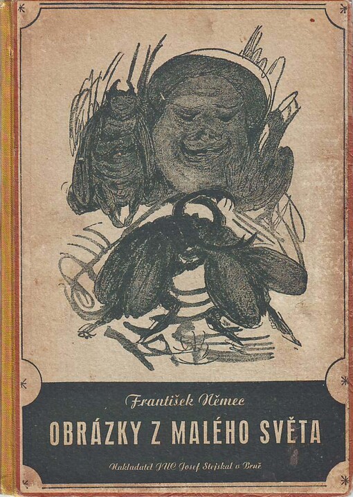 Obrázky z malého světa