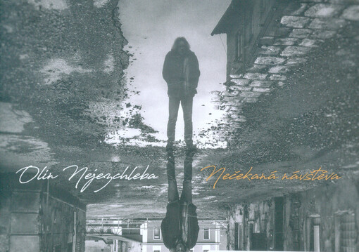 Nečekaná návštěva