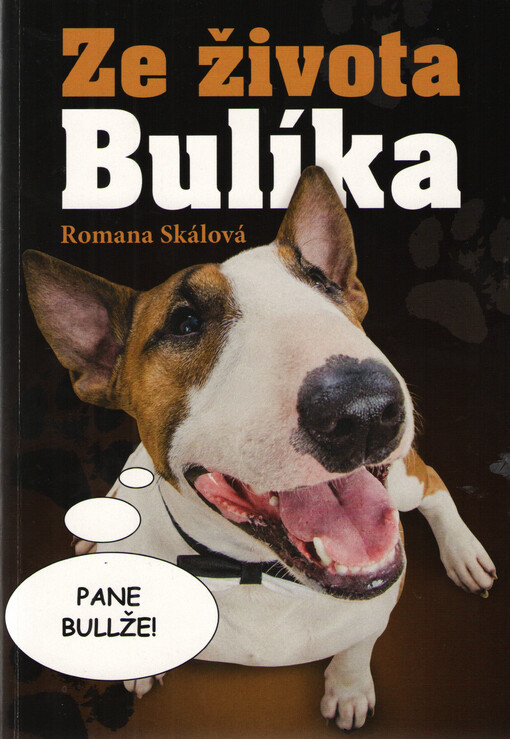 Ze života Bulíka