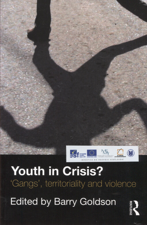 Youth in crisis? : gangs, territoriality and violence