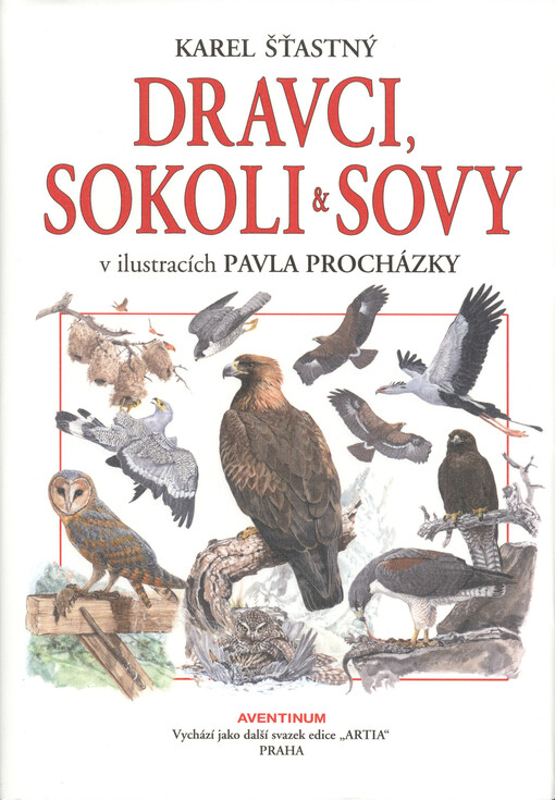 Dravci, sokoli a sovy
