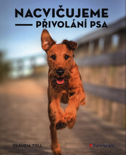 Nacvičujeme přivolání psa