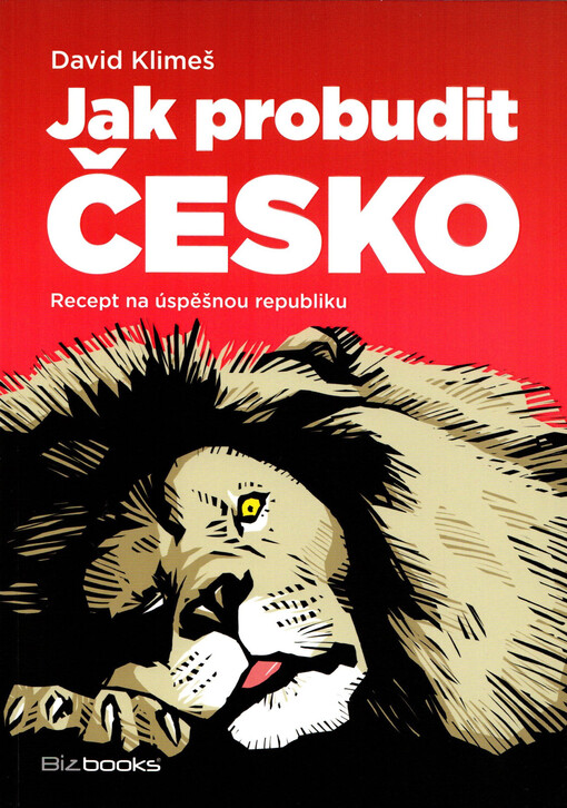 Jak probudit Česko: recept na úspěšnou republiku