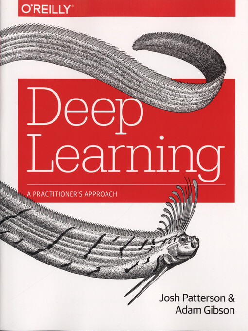Deep learning : a practitioner's approach