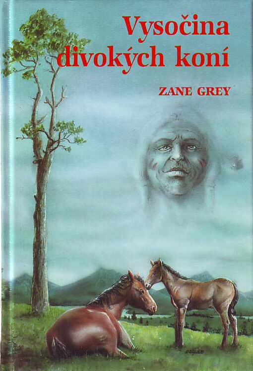 Vysočina divokých koní