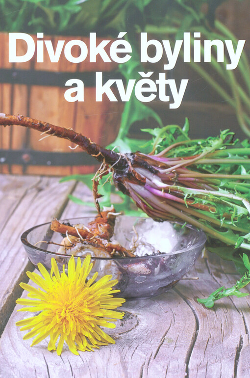 Divoké byliny a květy