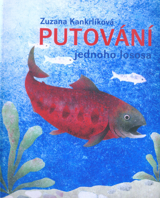 Putování jednoho lososa