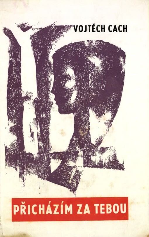 Přicházím za tebou