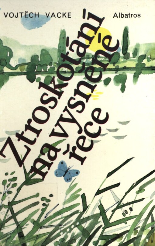 Ztroskotání na vysněné řece :pro čtenáře od 12 let