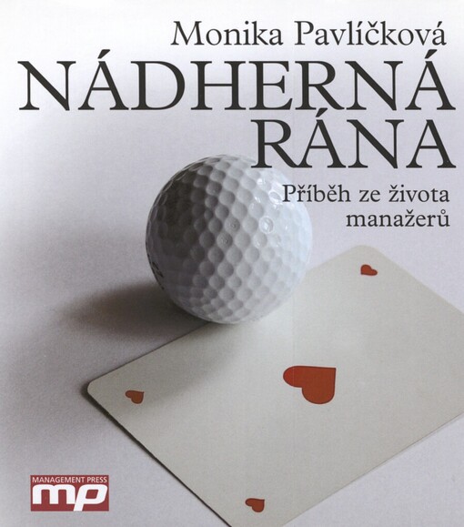 Nádherná rána: příběh ze života manažerů