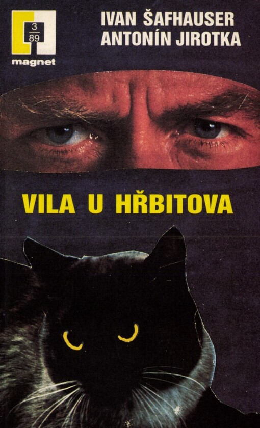 Vila u hřbitova