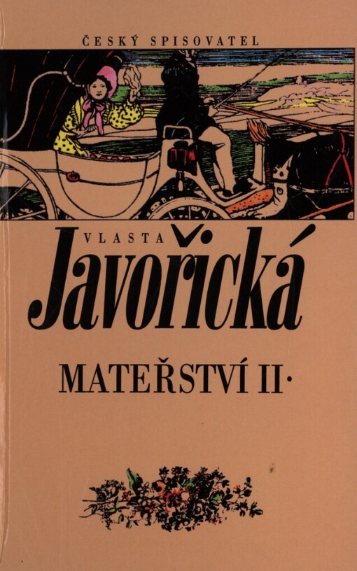 Mateřství: (román ženy)
