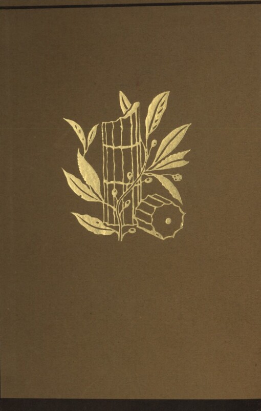 Démon: bouřlivý život básníka M. Lermontova : román