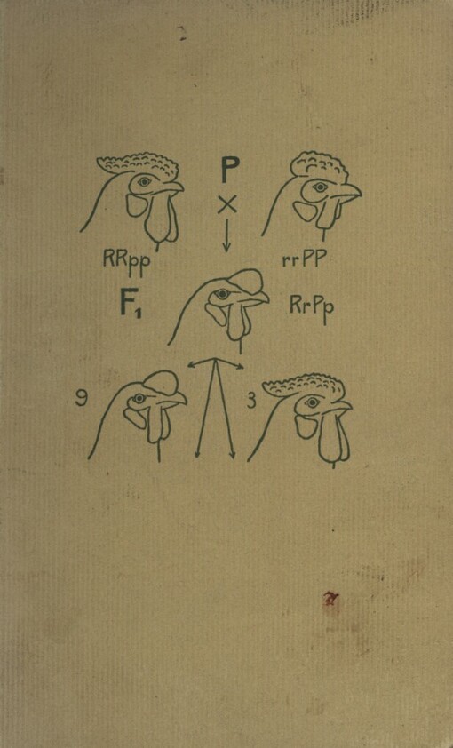 Tvoříme s přírodou :Praktická genetika