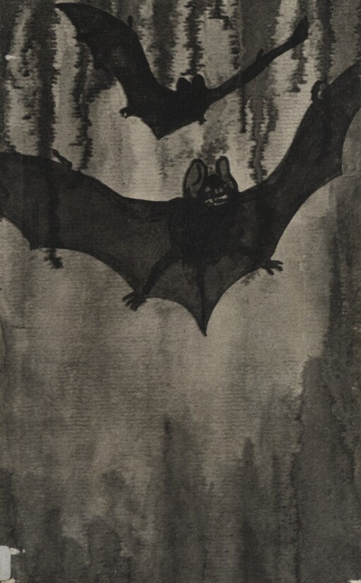 Mlýn na ponorné řece