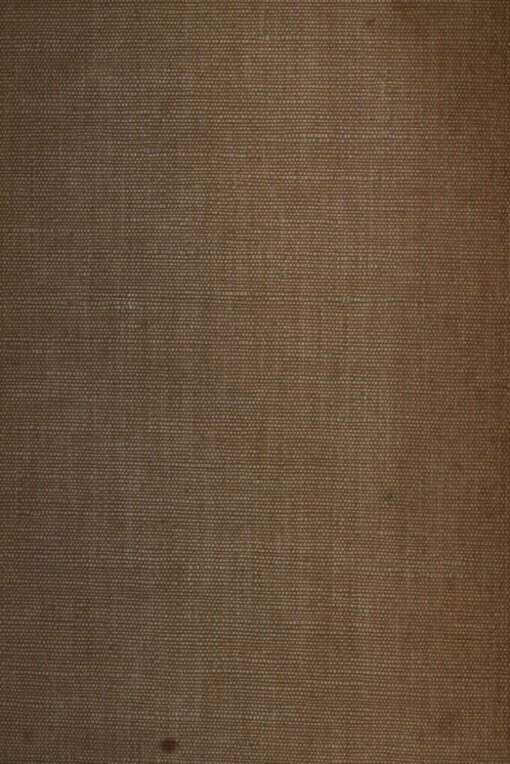 Svatý Saturnin =: (Saint-Saturnin) : román