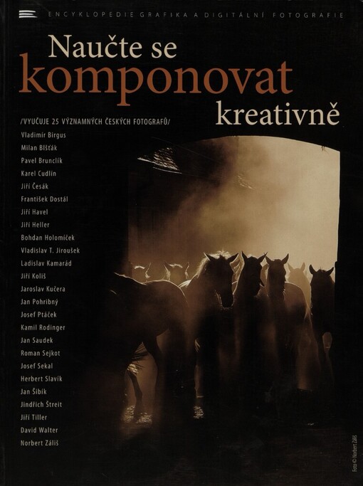 Naučte se komponovat kreativně: (vyučuje 25 významných českých fotografů)
