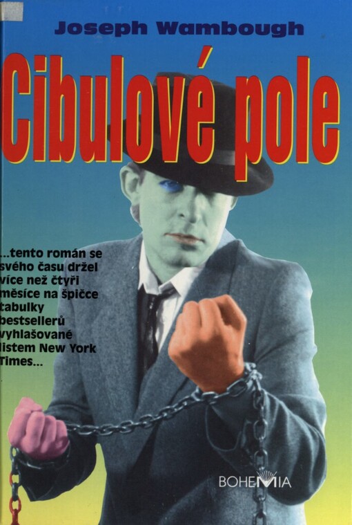 Cibulové pole