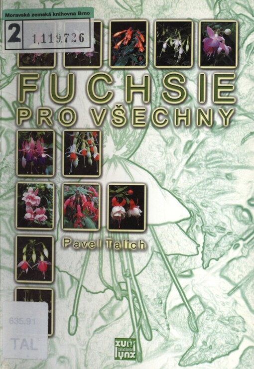 Fuchsie pro všechny: úvod do pěstování