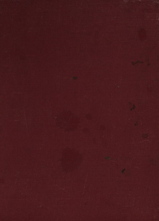 Tajemný motocykl ve Vlčích jamách: dobrodružný román pro budoucí statečné muže o motocyklech, policejním psu, dvou hrdinech, holčičce a jiných důležitých věcech a lidech