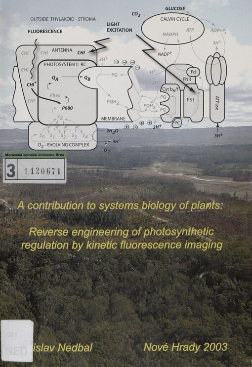 contribution to systems biology of plants: reverse engineering of photosynthetic regulation by kinetic fluorescence imaging