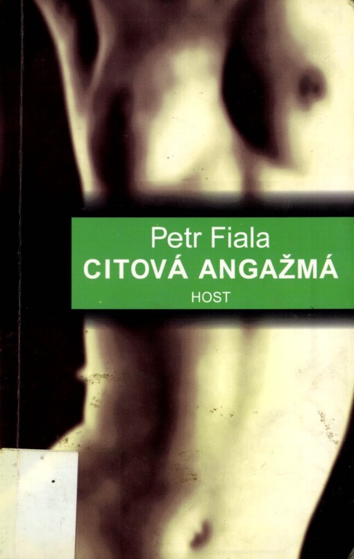 Citová angažmá: 1990-1999