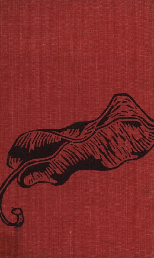 Náš stín nás předchází