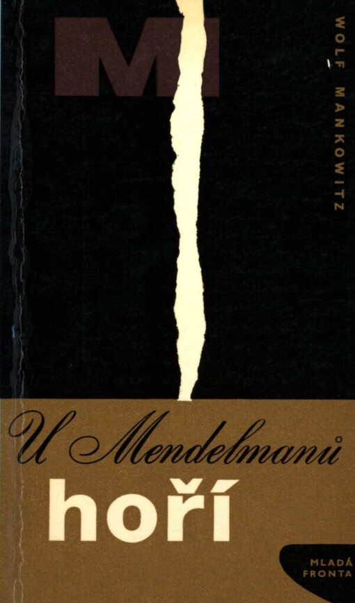 U Mendelmanů hoří