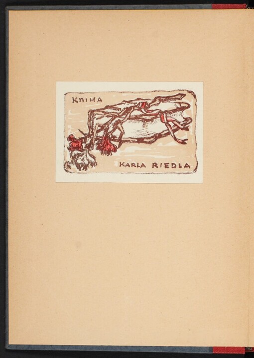 Hercegovina: poznámky, vzpomínky a pohádky